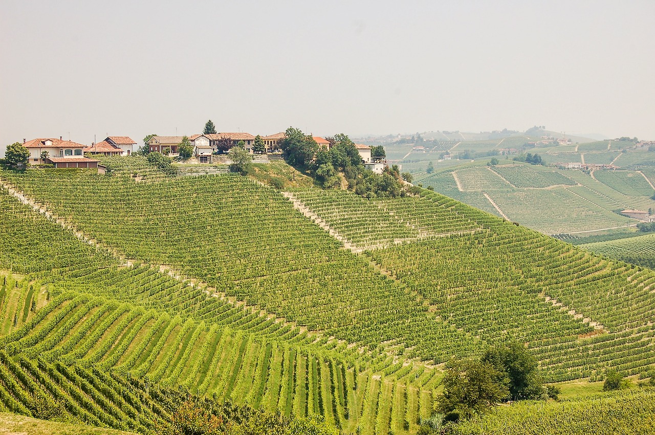 The alluring autumnal nuances of Langhe Nebbiolo! The alluring autumnal nuances of Langhe Nebbiolo!
